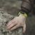 Why Small Businesses Are Turning to ERP Systems